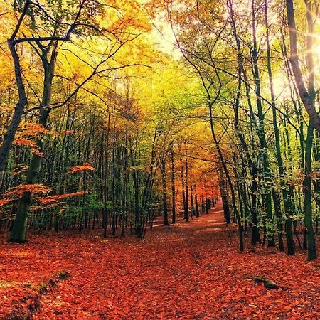 B&B Drenthe Westerbork Dış mekan fotoğraf