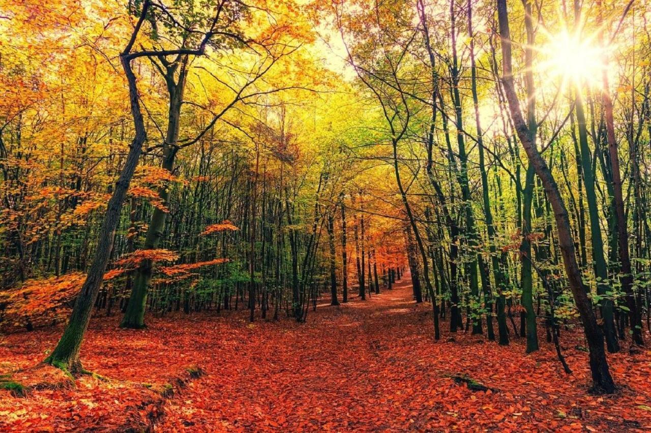 B&B Drenthe Westerbork Dış mekan fotoğraf